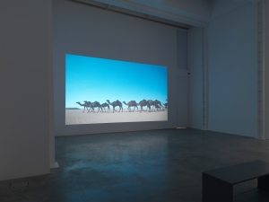 Wael Shawky, Dictums. Installation view Lisson Gallery, London 2014. © the artist; courtesy Lisson Gallery, London 