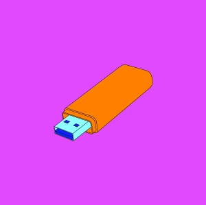 Objects of our Time – Memory Stick , 2014, from a series of 12 screenprints on 410 gsm Somerset Satin paper, Edition of 50 Courtesy the artist and Alan Cristea Gallery