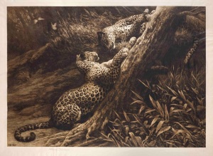 Play (Two Leopards at play) Signed in pencil by the artist Published in May 1907 by Frost & Reed Ltd, 19¾ x 26½ in / 50 x 67.5 cm Exhibited: R.A. 1907, No. 1379